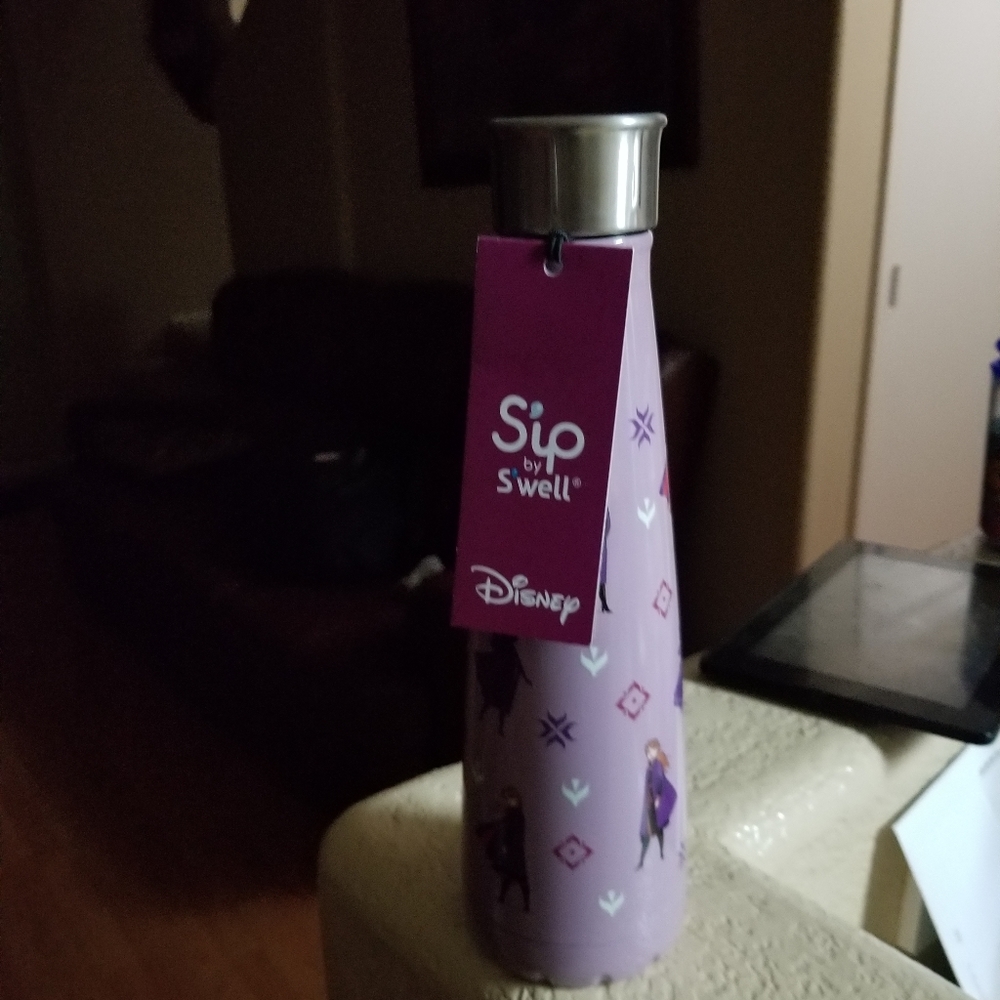 Disney frozen s'well stainless steel water bottle